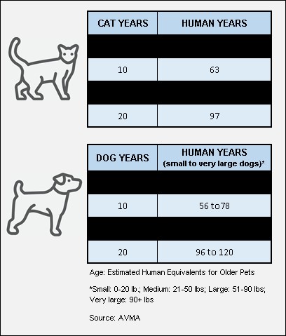 how do cats age compared to dogs