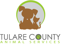 Home icon